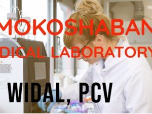 MP, Widal, and PCV Test